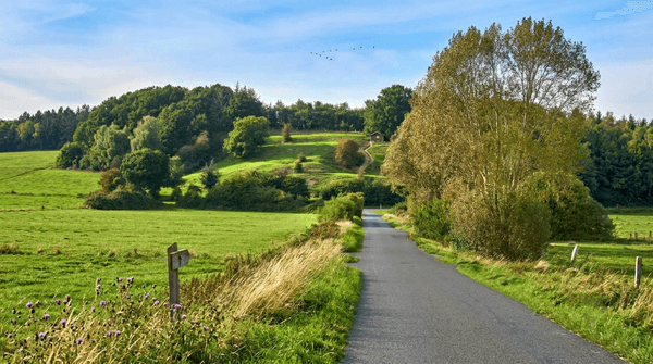 Landschaft Dithmarschen